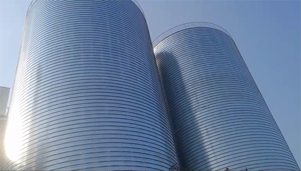 杞县2座混凝土高架卷板仓